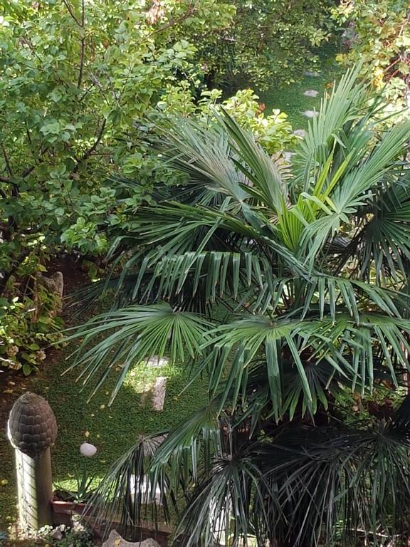 Appartamento Garden Ca' Rezzonico Venice Ngoại thất bức ảnh