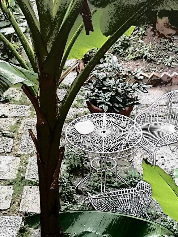 Appartamento Garden Ca' Rezzonico Venice Ngoại thất bức ảnh