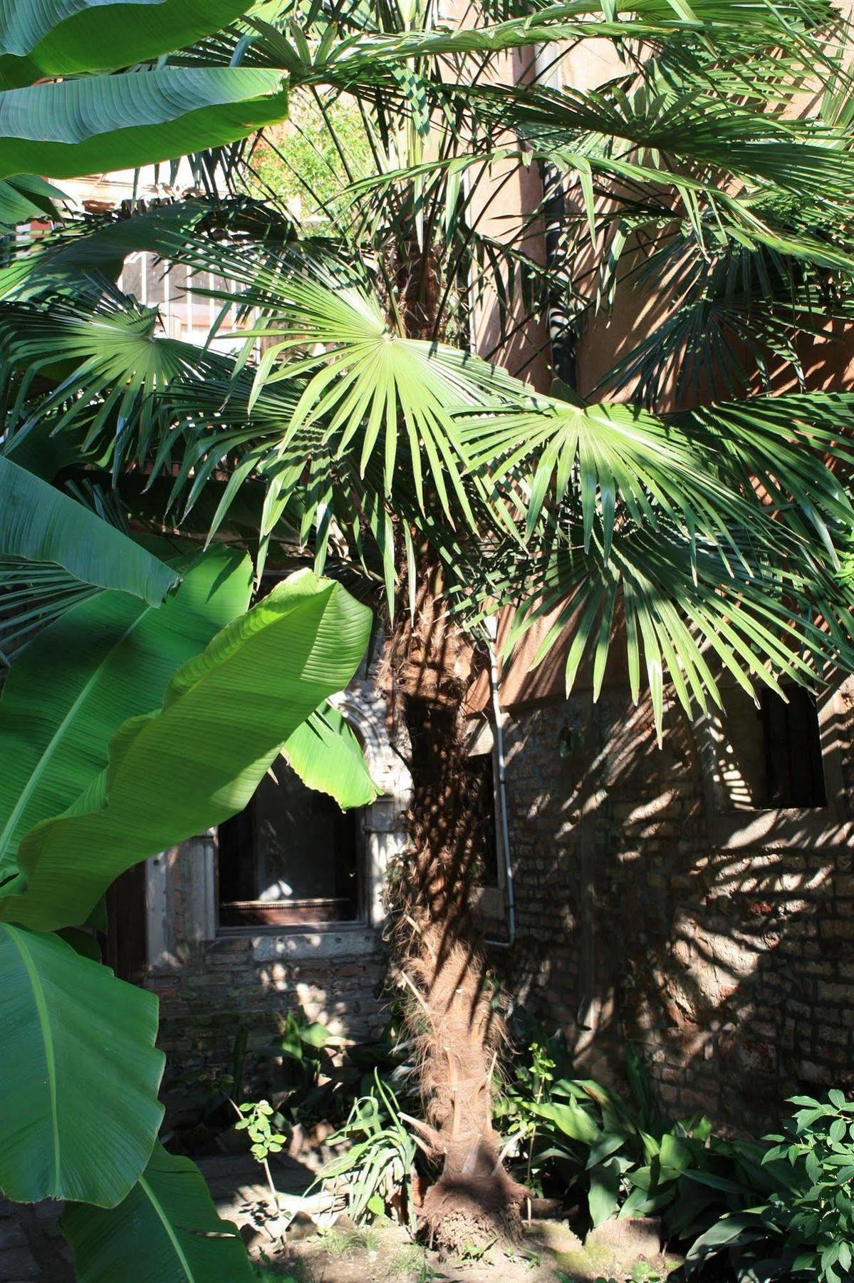 Appartamento Garden Ca' Rezzonico Venice Ngoại thất bức ảnh